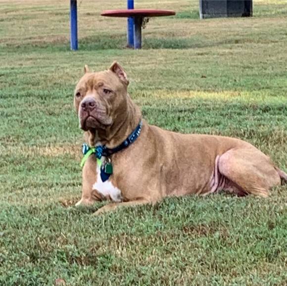 Meet your Posher, Greg - Picture 1 of 1